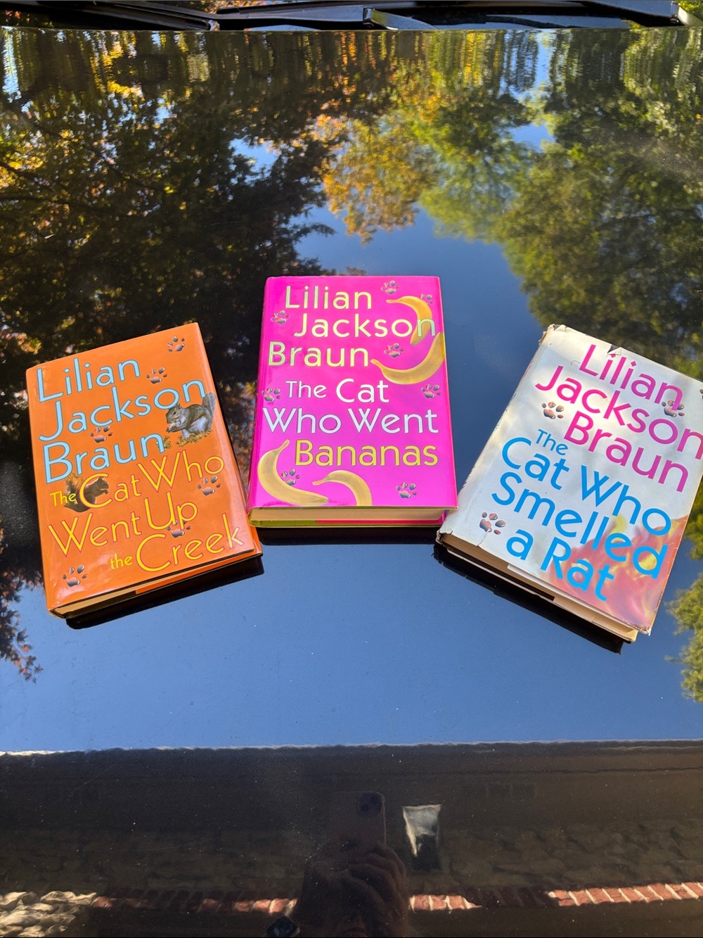 Lillian Jackson Braun, Cat story books